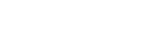 Garment Project